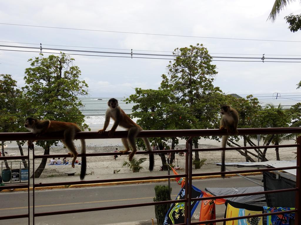 The Elephant Castle Beach Front Penthouse Manuel Antonio Eksteriør billede